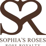 SofeaRose company logo