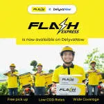 Flash Malaysia Express company logo