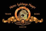 MGM INTELLIGENCE SOLUTIONS company logo