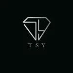 TSY LIFESTYLE TRADING company logo