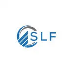 SLF HOME SOLUTIONS SDN BHD company logo