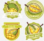 KD Durian company logo