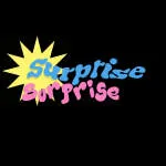 Le Art Surprise Enterprise company logo