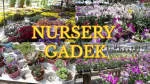 Gadek Nursery company logo