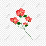 HiAS Design company logo