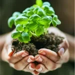 MABUCO SDN BHD company logo