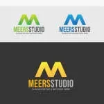 MEERS Studio company logo