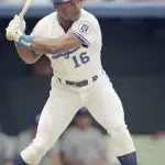 Bo The Avocado company logo