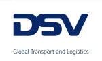 DSV SOLUTIONS (DC) SDN BHD company logo
