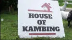 HOUSE OF KAMBING company logo