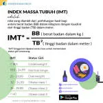 IMT Group company logo