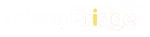 Talent Bridge Solution company logo