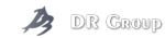 DR GROUP HOLDINGS company logo
